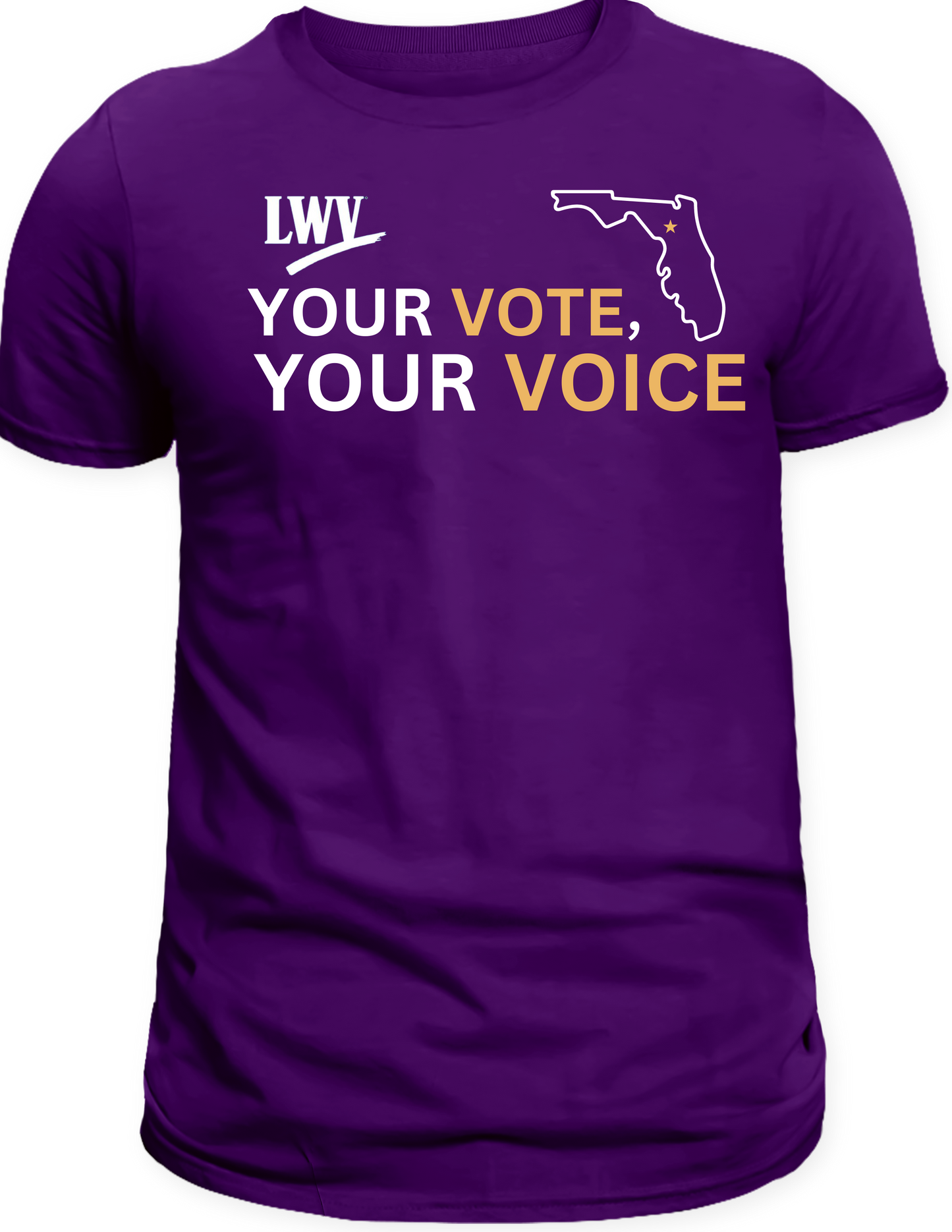 FLORIDA YOUR VOTE & YOUR VOICE